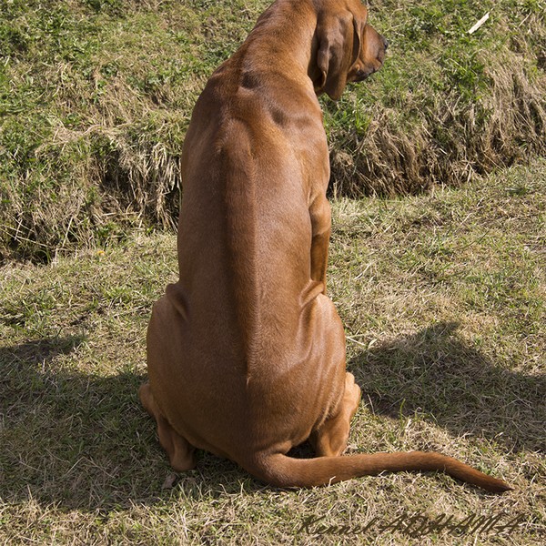  DSC0569