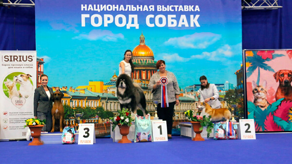 11112022 3 BIS