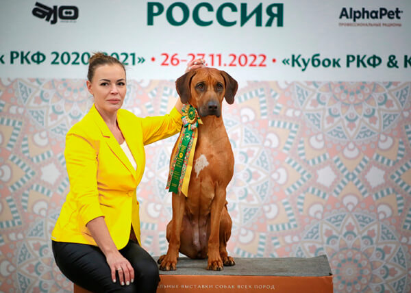 27112022Russia