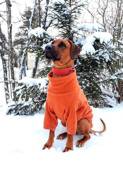 Winter