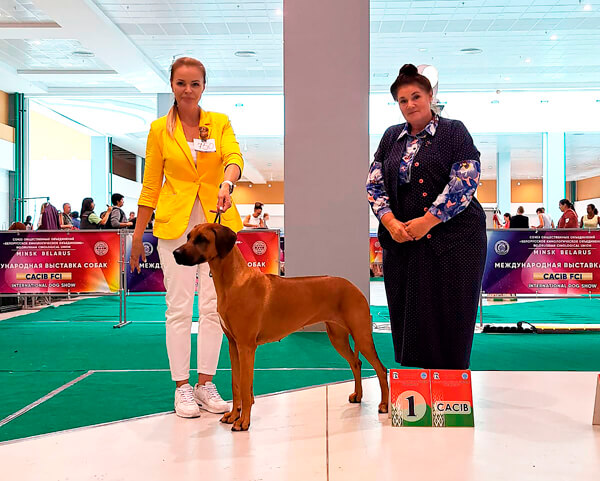 100923BLR