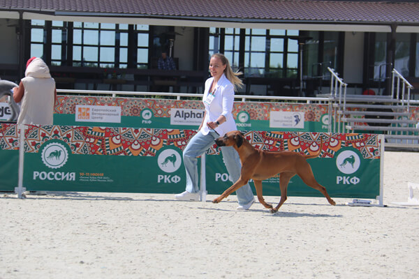 11062023 Russia CupMoscow