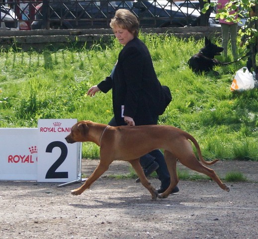 DSC01393