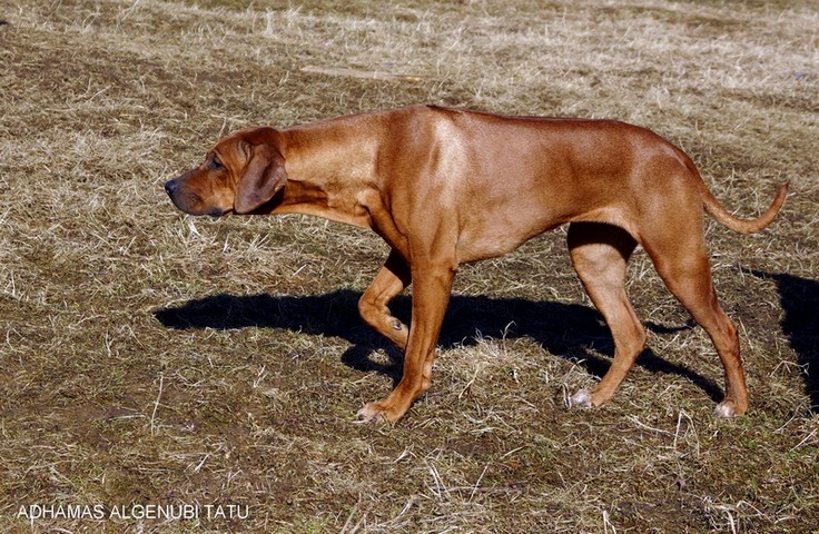 DSC03015