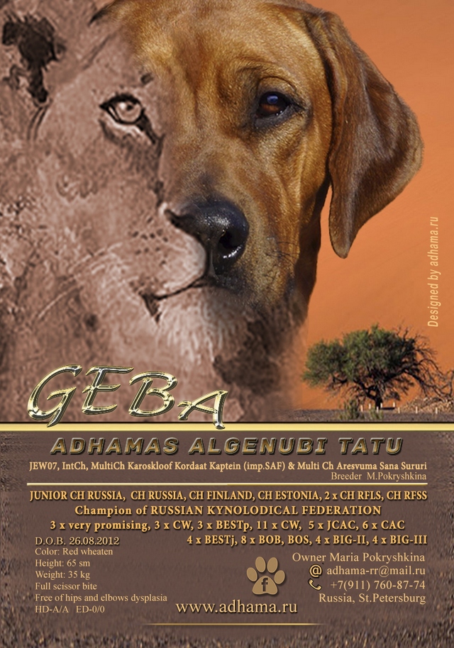 GEBA LEO640
