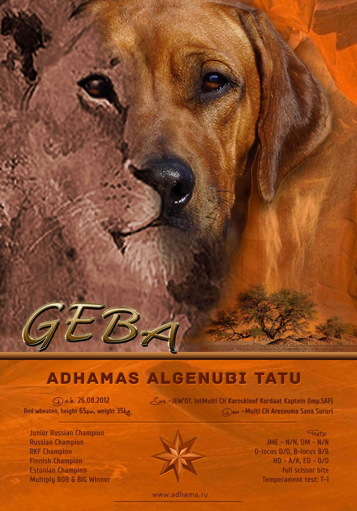 GebaLeo