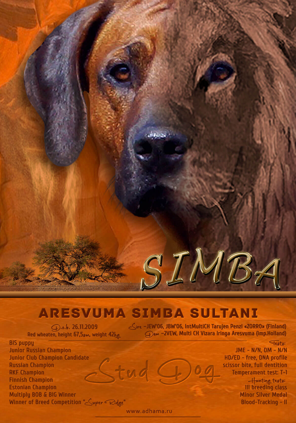 SimbaLeo