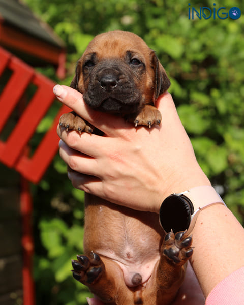 20250610183648 IMG 5106