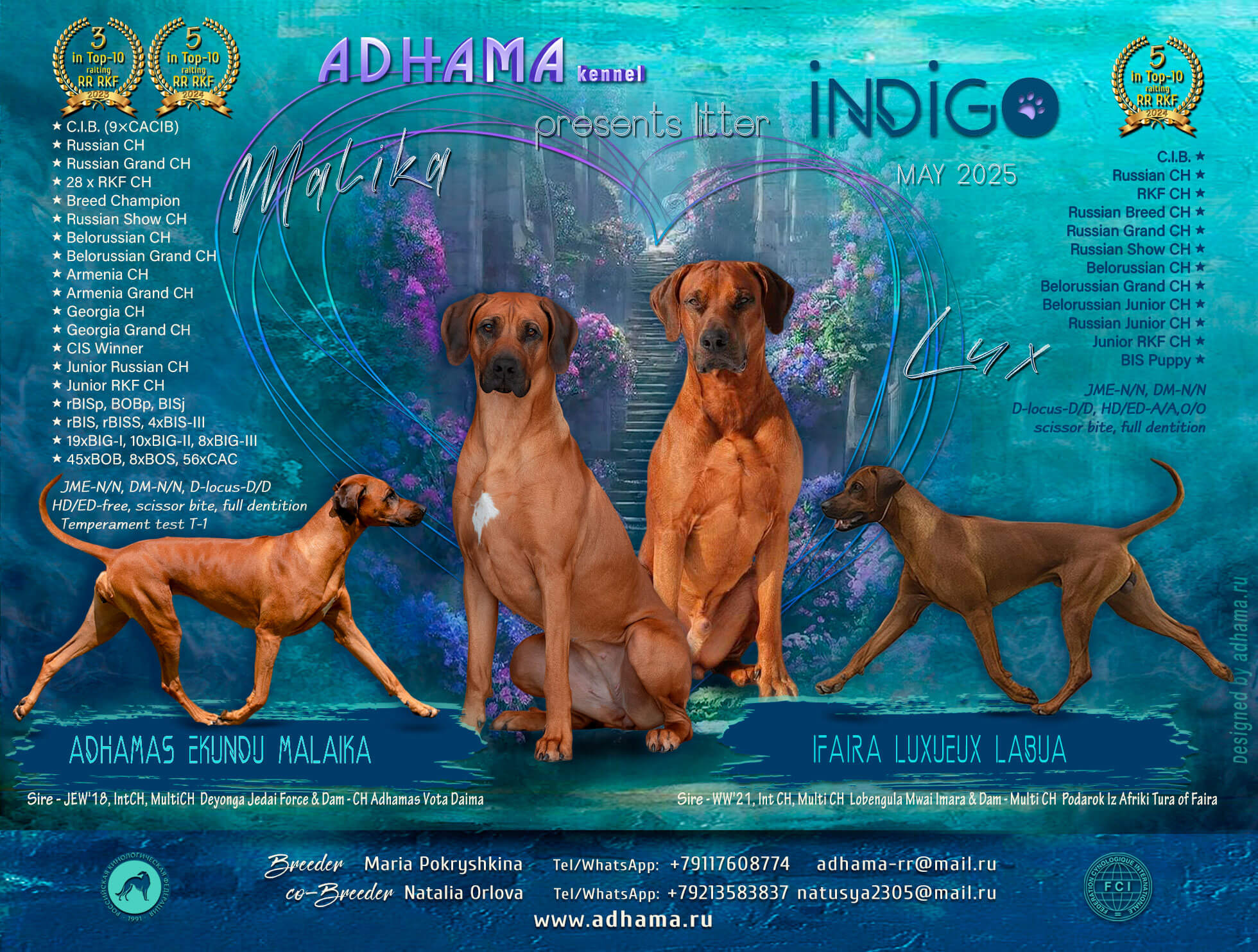 Indigo