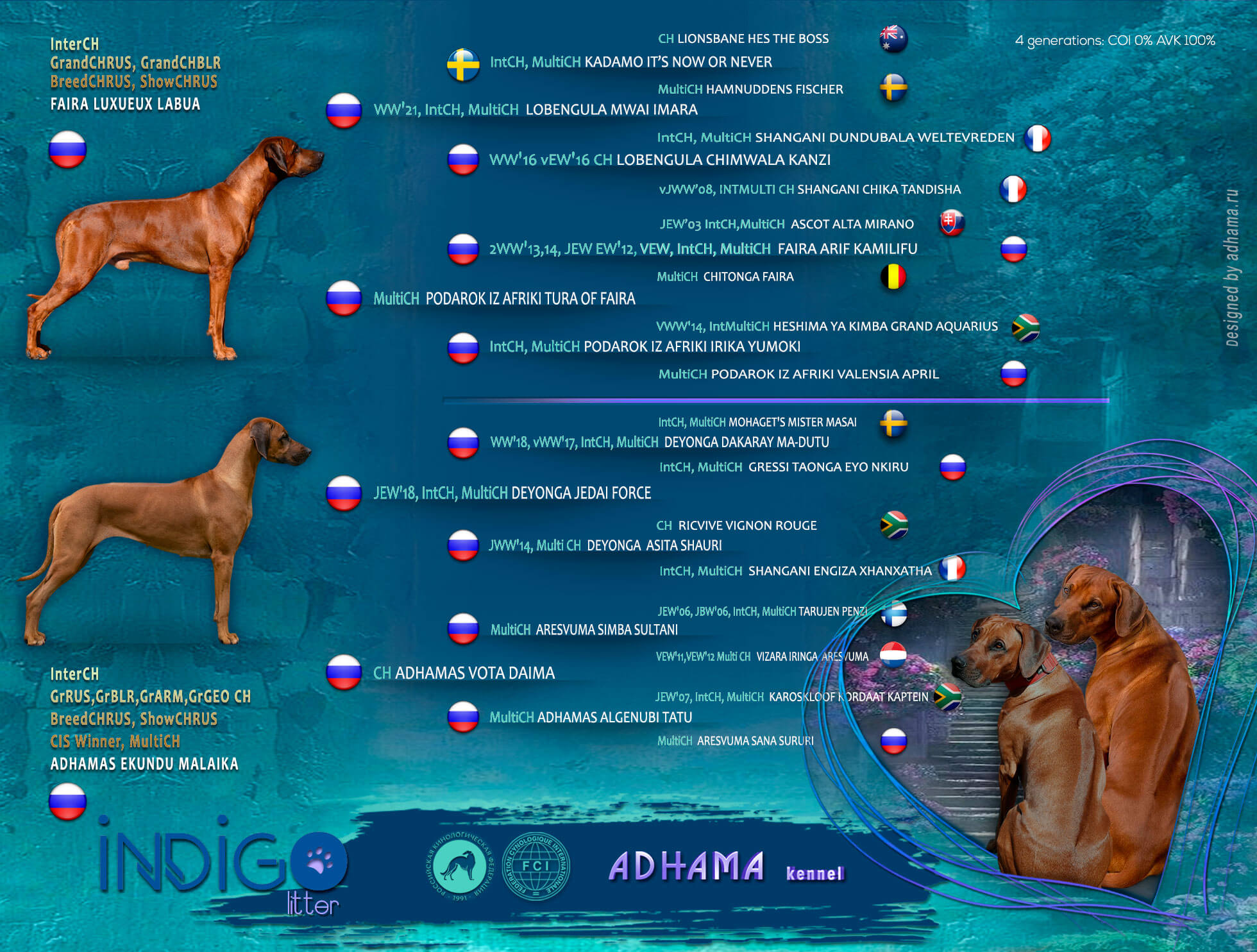 PedigreeIndigo