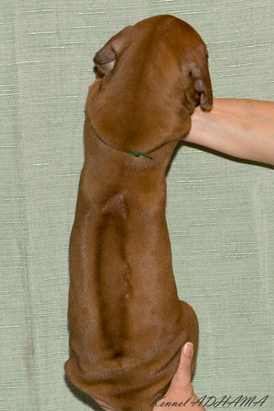  DSC4378