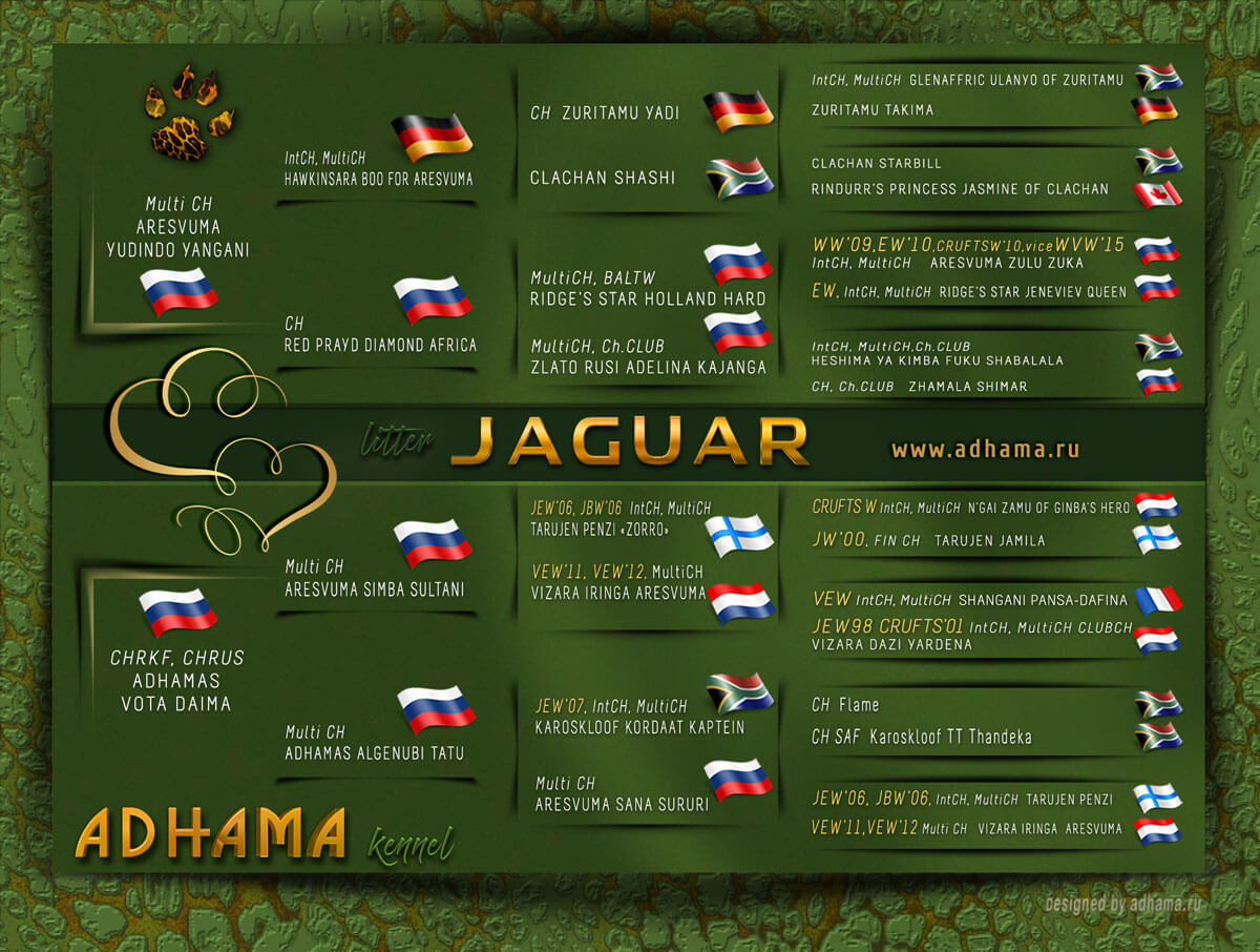 Jaguar Pedigree
