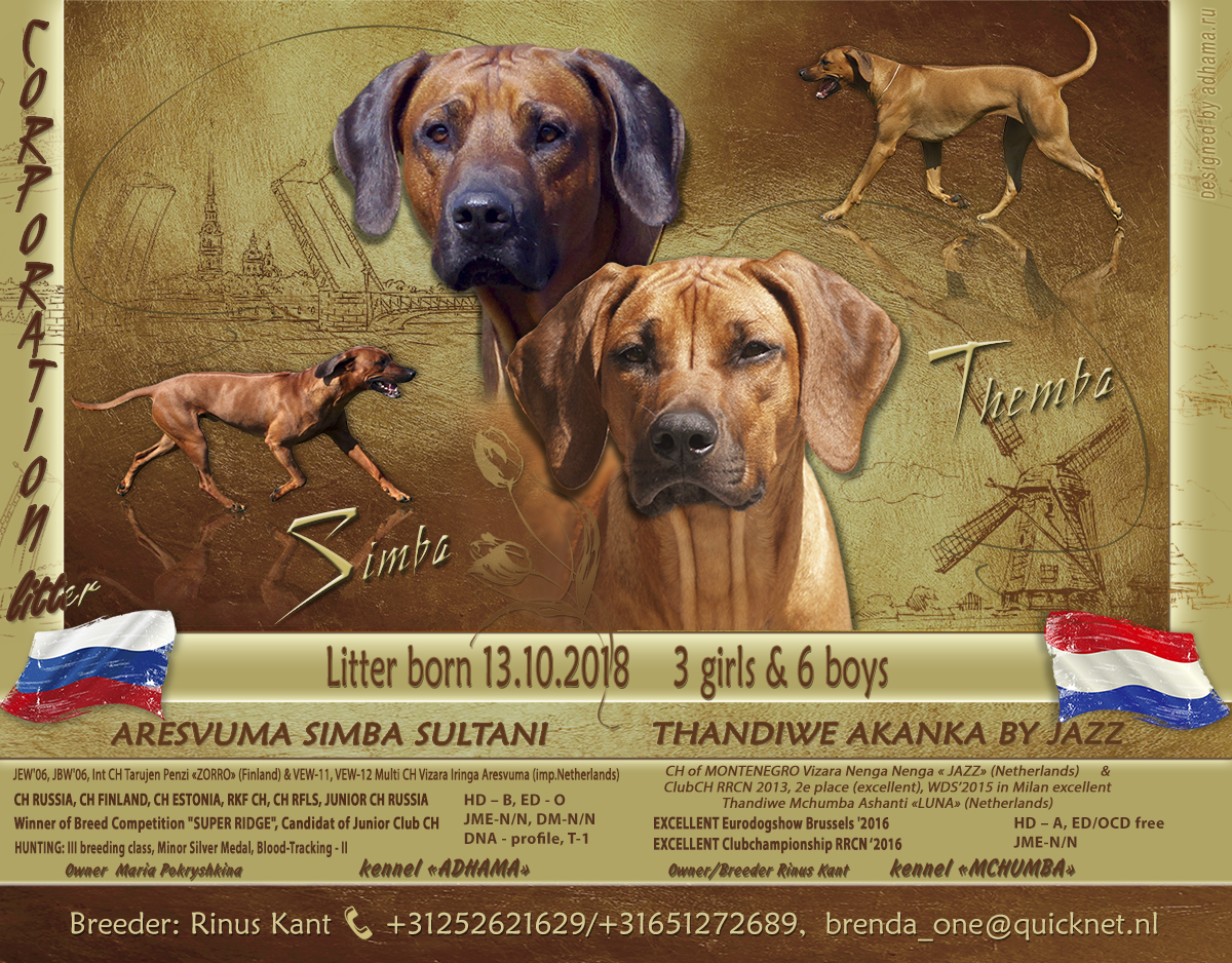 Themba Simba Puppies 13 10 20181200x938