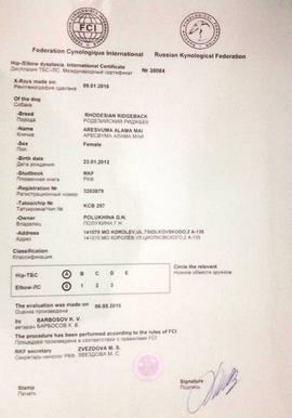 HD AA ED 00 300