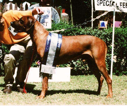 APALACHEE UMQUOLO OF PRONKBERG