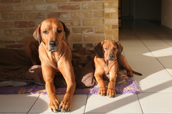 Chitonga Ghali & Mona