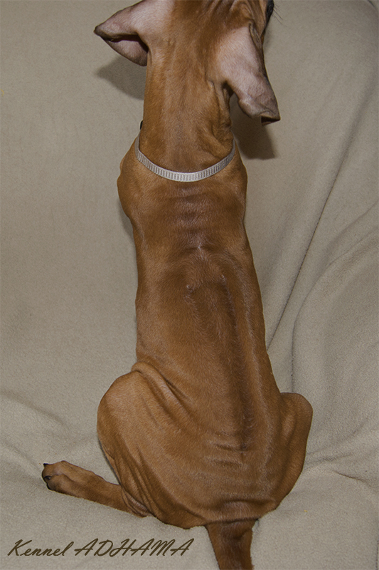 white boy