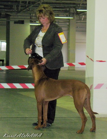 24.10.10simba