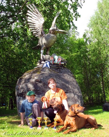 IMG 0438