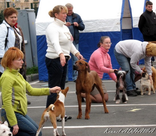 IMG 2515
