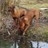 DSC01201 300